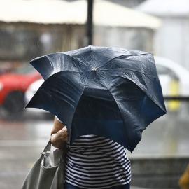 Una mujer camina graciosamente bajo la lluvia, protegida por su fiel paraguas.