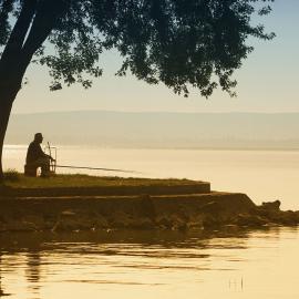 Un hombre que disfruta de la serenidad bajo un árbol junto a un lago, abrazando la tranquilidad de la naturaleza.