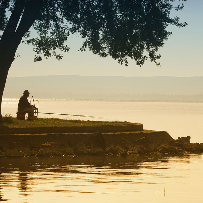 Un hombre que disfruta de la serenidad bajo un árbol junto a un lago, abrazando la tranquilidad de la naturaleza.